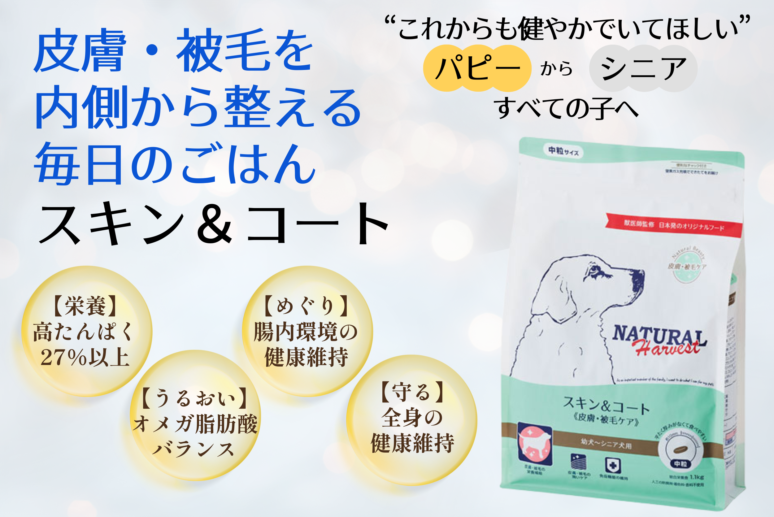 スキン＆コート