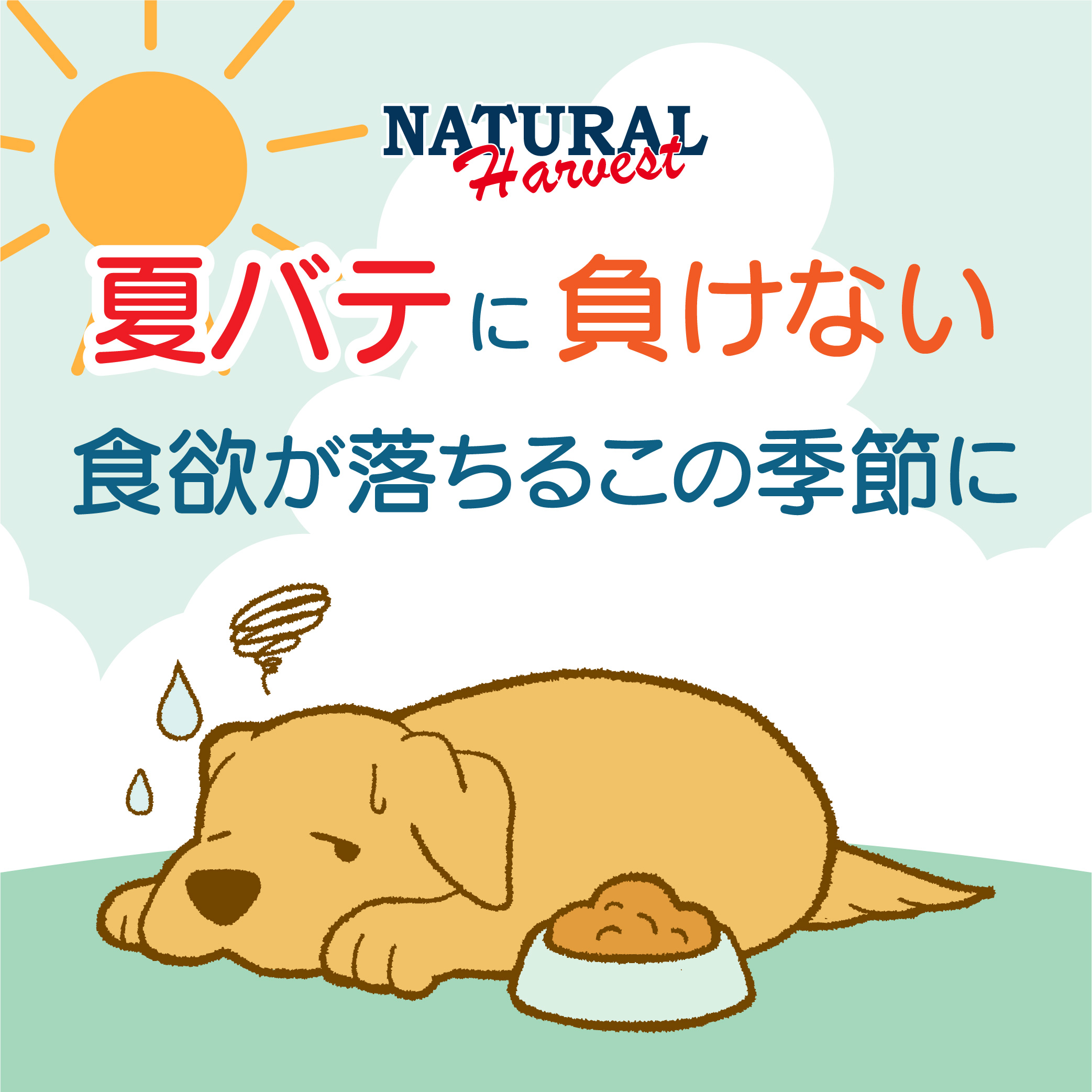 【ナレッジチーム監修】夏バテに負けない！食欲が落ちるこの季節におすすめの商品