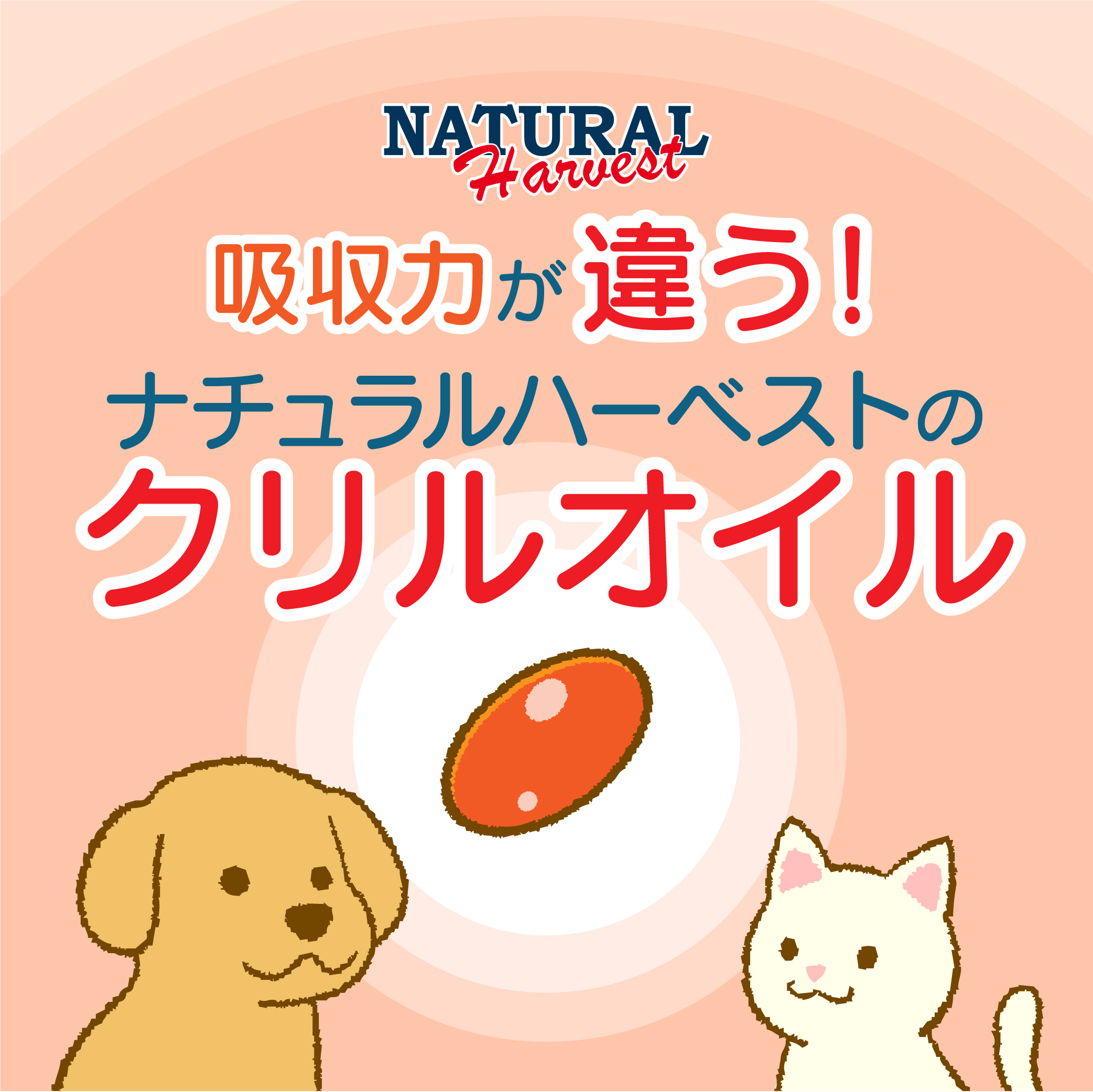 【ナレッジチーム監修】吸収力がちがう！ナチュラルハーベストのクリルオイル