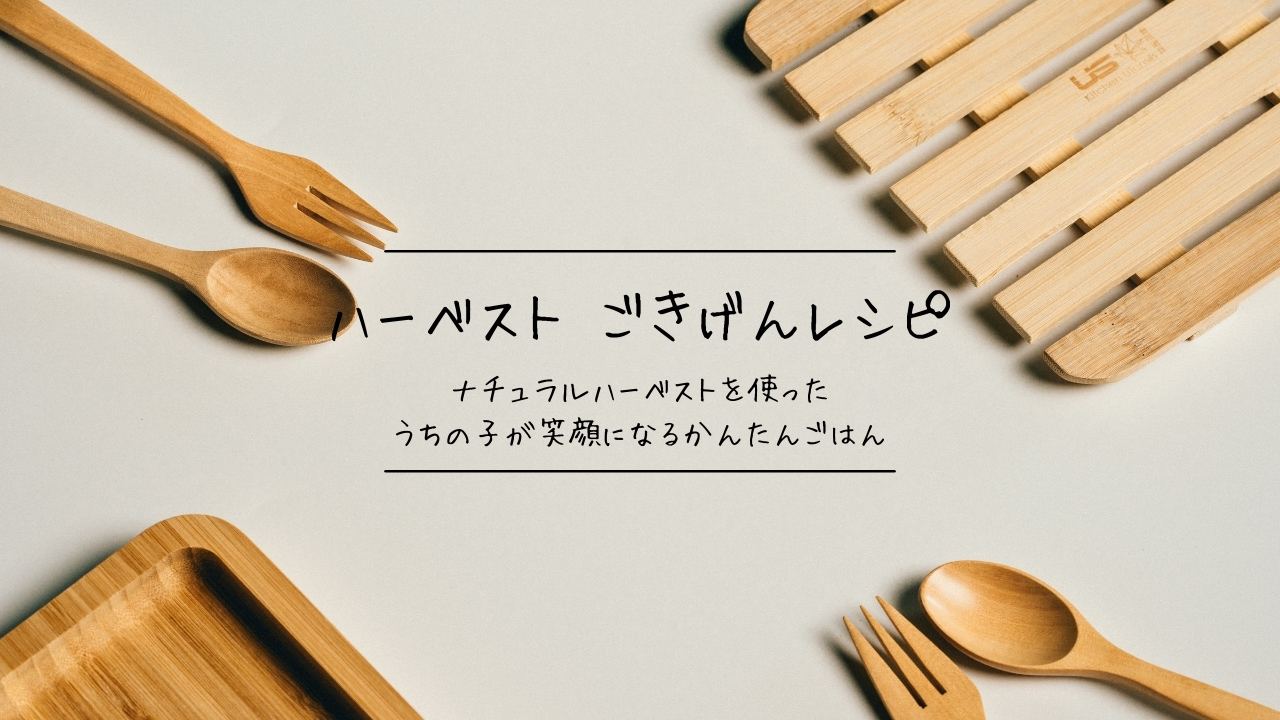 季節の手作りごはん バナー