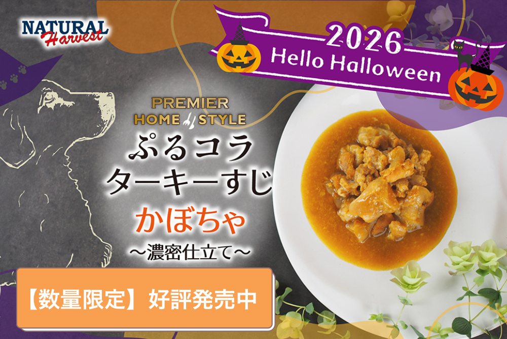 ハロウィン承り中