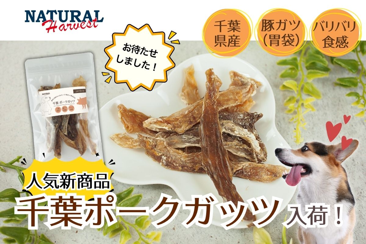 千葉ポークガッツ